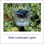 Solar Landscape Lights