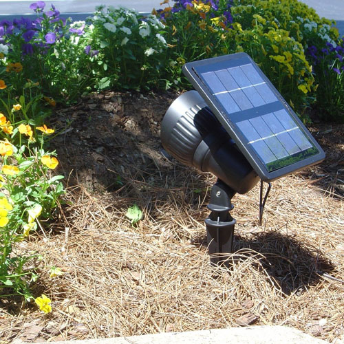 Progressive Solar Spot Light