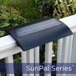 2020.5.7-Sunpal-on-railing