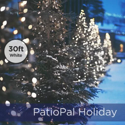Solar Holiday Net & String Lights - 30ft+ LED Long Lasting for Cloudy Conditions