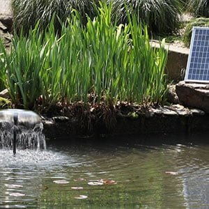 Solar Garden Pump Kits
