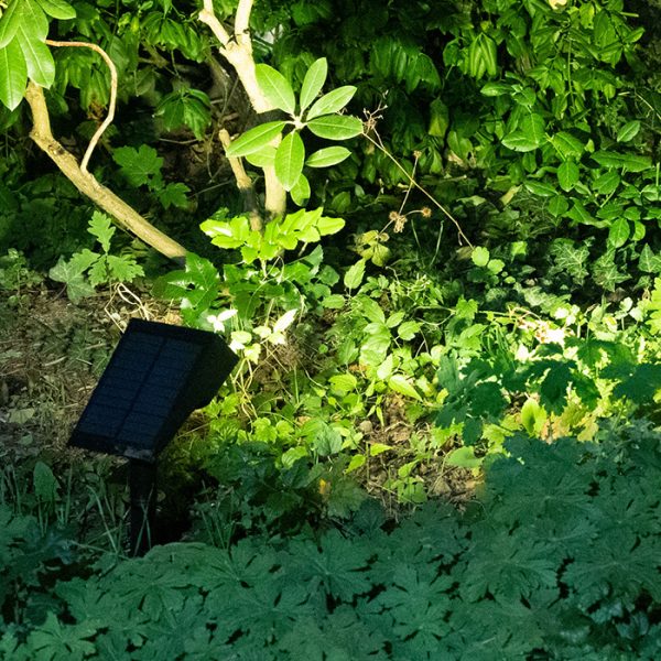 Solar best sale powered uplights